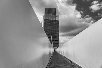 Architektur Rotterdam