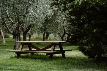 Picknickbank bij een wijnveld | Reisfotografie Italië van Inge de Lange