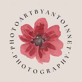 PhotoArt by Antoinnet profielfoto