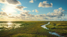 Salt marsh near Dagebüll [Sunset II] by rosstek ®