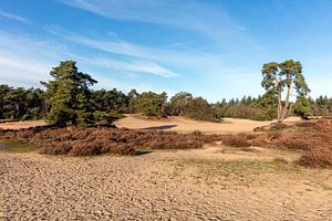 Soester Duinen