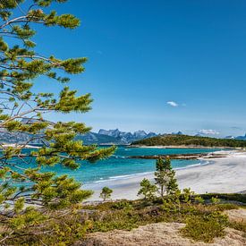 Baai op de Lofoten Noorwegen. van Ron van der Stappen