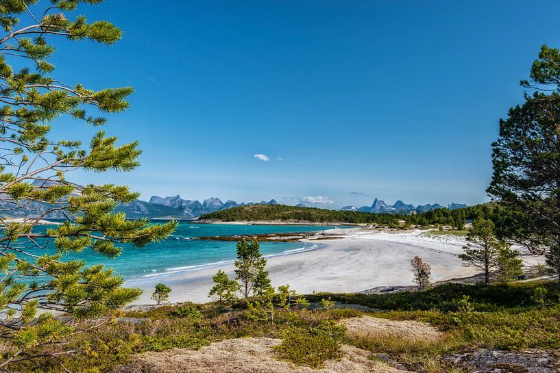 Baie des îles Lofoten Norvège. par Ron van der Stappen