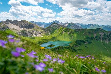 Blumige Sicht auf den Schrecksee und den Hochvogel in den Allgäuer Alpen von Leo Schindzielorz