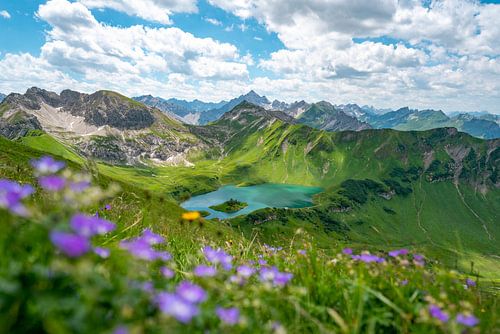 Bloemrijk uitzicht op de Schrecksee en de Hochvogel in de Allgäuer Alpen