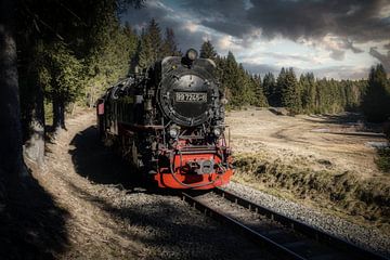 The old steam train by Mart Houtman