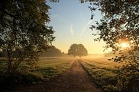 Tweeling in ochtendzon