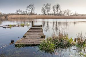 Überschwemmter Steg am Bodden bei Ribnitz-Damgarten