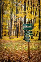 Herbstwanderung auf dem Rennsteig