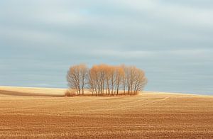 Weite Herbststimmung
