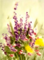summerfeeling