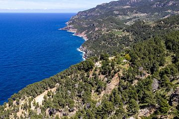 Kustgedeelte in het noorden van Mallorca van Reiner Conrad