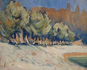 Olive trees along Marmari Beach