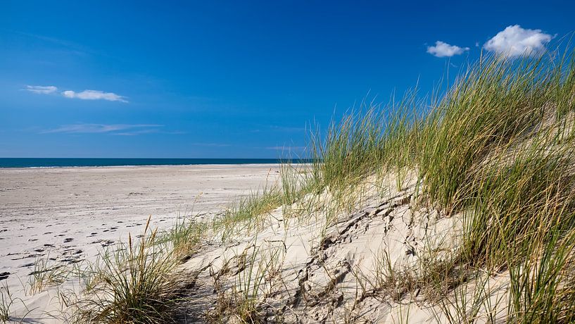 Beach by Bo Valentino