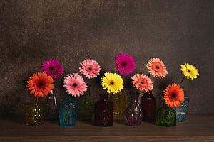 Modern Stilleven met Gerbera's – Tijdloze Elegantie in Chiaroscuro