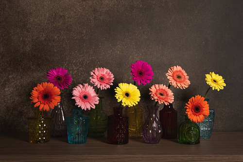 Nature morte moderne avec des gerberas «'s » – Une élégance intemporelle en clair-obscur sur John van de Gazelle fotografie