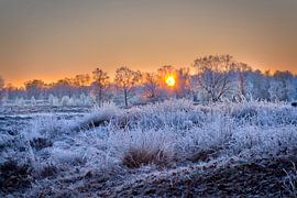 Arcen Wellerlooi Maasduinen Winterlandschap