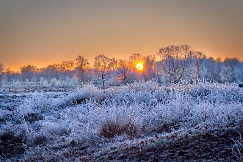 Arcen Wellerlooi Maasduinen Winterlandschaft von Twan van den Hombergh