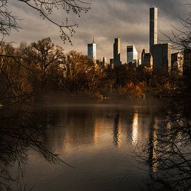 Central Park Fall van Menko van der Leij