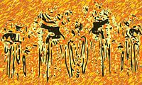 Tour de France