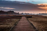 Follow the path