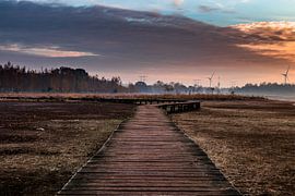 Folgen Sie dem Pfad von Kim van der Weerden