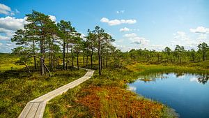 Parc national Soomaa