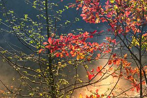 Autumnmood | Twickel Delden (5)