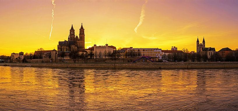 Magdeburg Skyline von Frank Herrmann