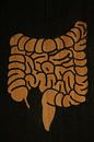 Intestines (2/3) by hou2use thumbnail