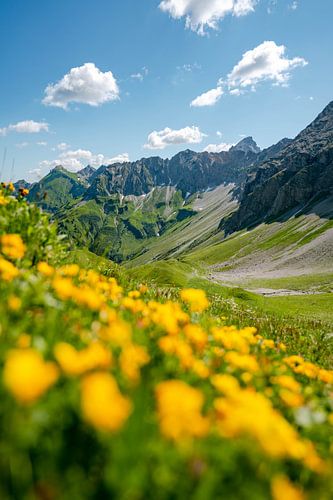Bloemrijk uitzicht op de Hochvogel en de Allgäuer Alpen