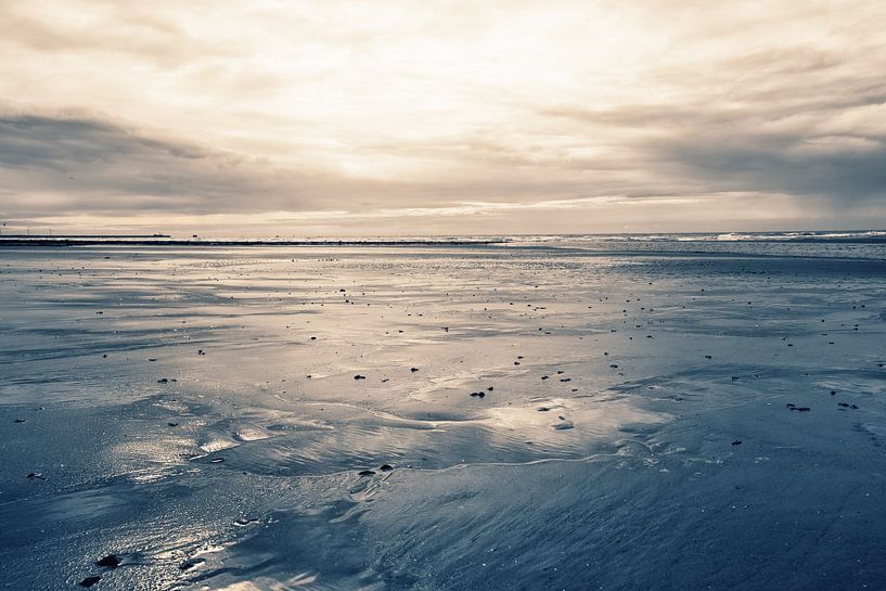 Silence on the Coast by Truus Nijland