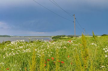 Donderwolken over de Reddevitzer Höft