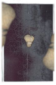 Parts of the World Episode 2 by Peter Baak