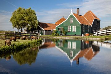 Käserei auf der Zaanse Schans von Sander Groenendijk