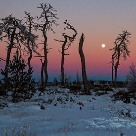 Invallende nacht in desolaat landschap van Ruben Gielissen