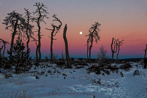 Invallende nacht in desolaat landschap van Ruben Gielissen