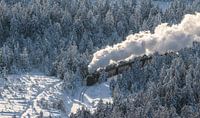 Harzer Schmalspurbahn im Winter von Patrice von Collani Miniaturansicht