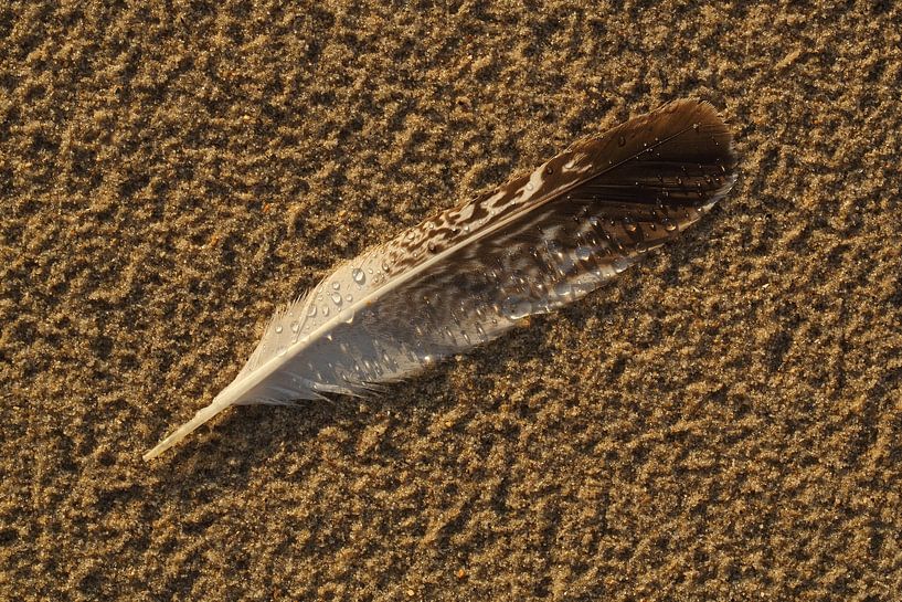 Fähre am Strand von Ronald Pol