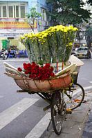Colourful Cityscape: Hanoi's Flower Bike