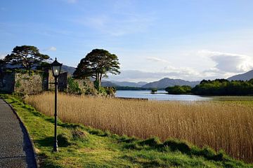 Wandelen naar het kasteel van Castlelough van Frank's Awesome Travels