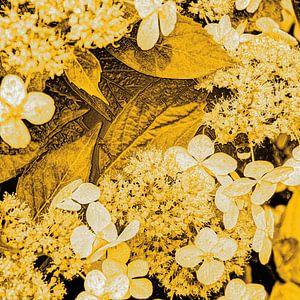 Digital Art Medium Blumen Gold