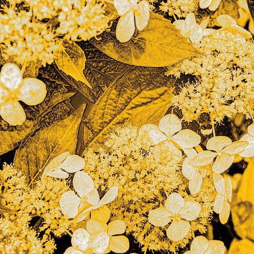 Digital Art Medium Bloemen Goud