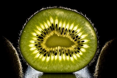 Kiwi in backlight