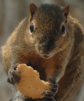 sorry, is gewoon lekker...