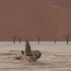 Dode bomen bij Deadvlei Namibië van Martin Jansen