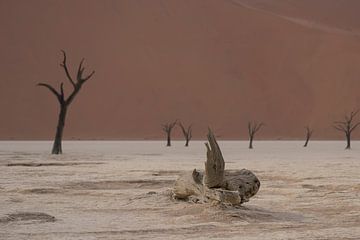 Dode bomen bij Deadvlei Namibië van Martin Jansen