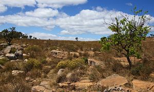 Wanderweg durch die Natur in Südafrika