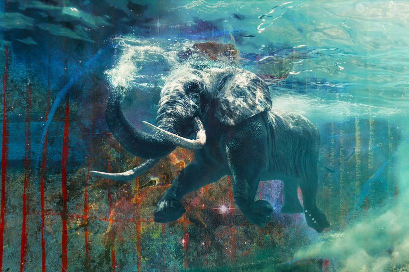 Schwimmender Elefant von Giovani Zanolino