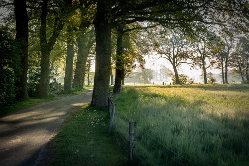 Morning in the Reest valley by Bé Poolman
